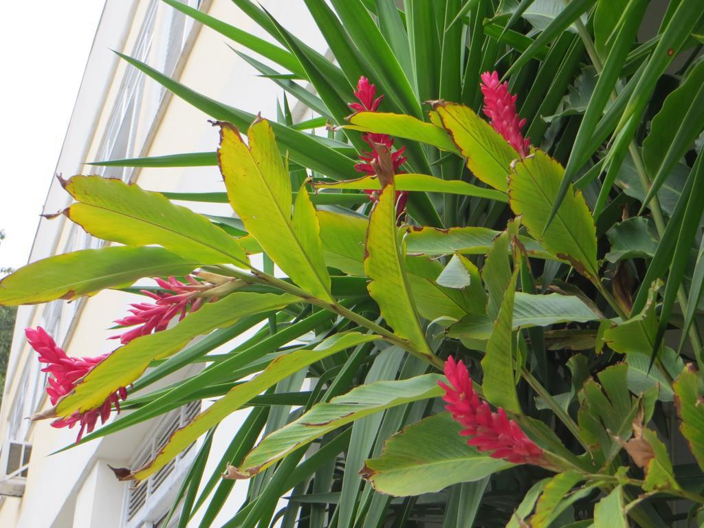 Nature Paradise Boutique Hotel 3*