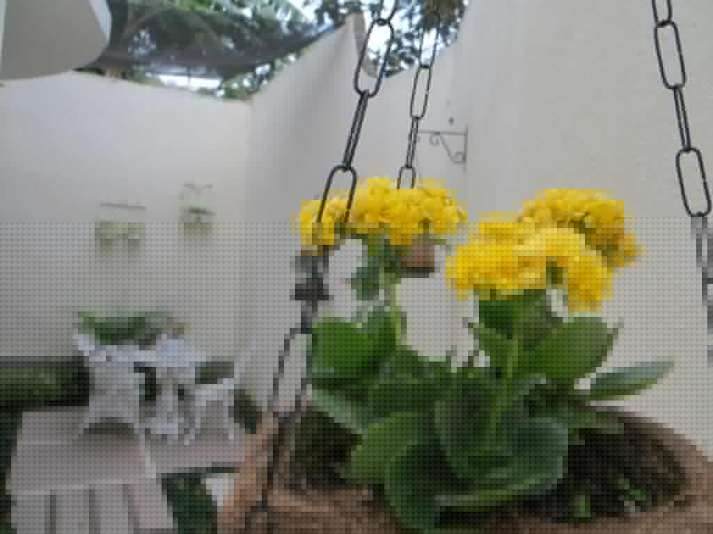 Nature Paradise Boutique Rio de Janeiro
